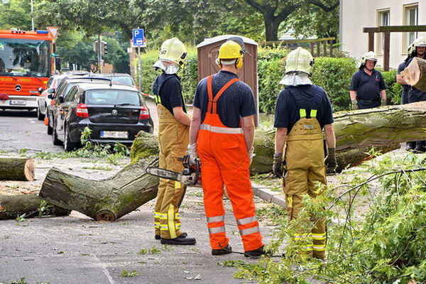 Feuerwehr_Baum   037.jpg